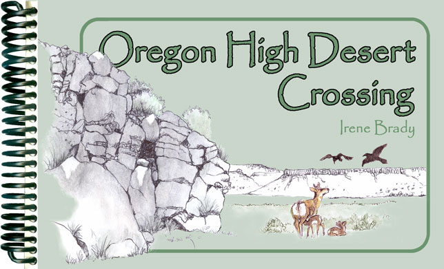 Oregon High Desert Crossing Sketch Journal...