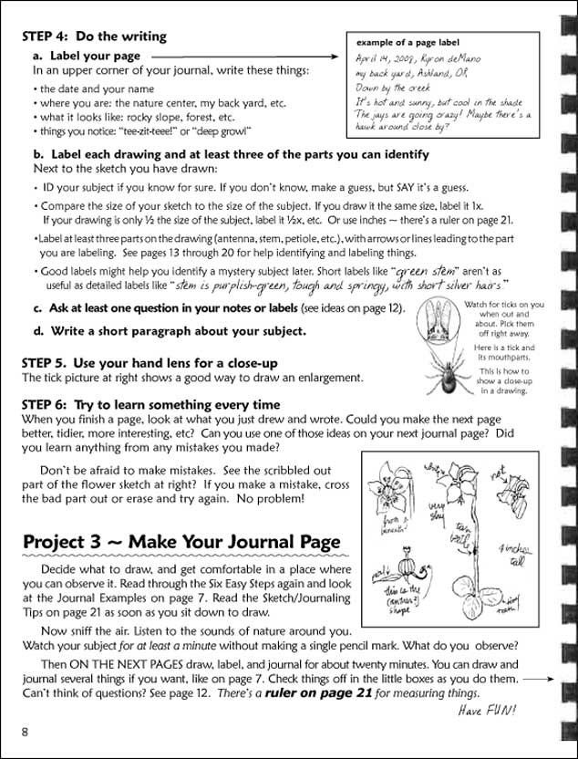 Reflective journal prompts