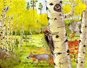 Aspen Forest, Natural State