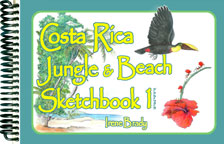 Costa Rica in February Sketch Journal...