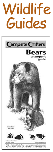 Campsite Critters, 
Bears, a Camper's Guide