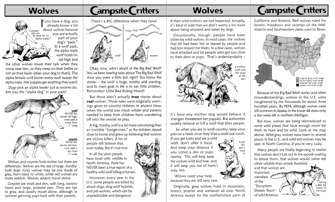 Inside Wolf Brochure