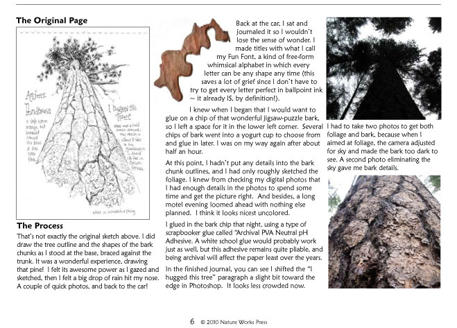 Creating the giant doug fir page...
