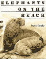 ELEPHANTS ON THE BEACH ...