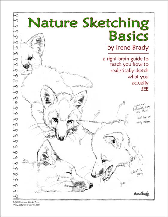Nature Sketching Basics Cover...