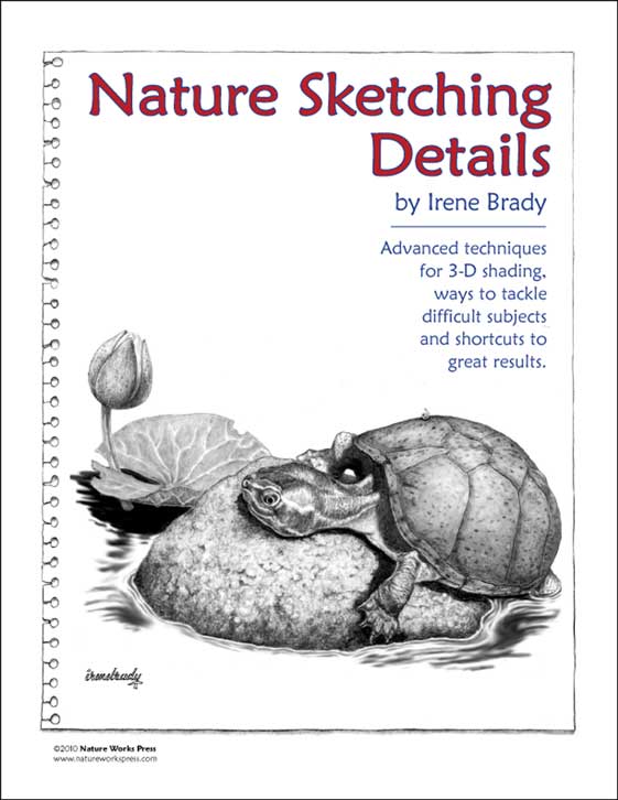 Nature Sketching Details Cover...