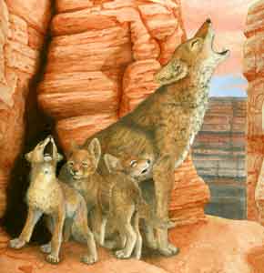 Cover Art for The Redrock Canyon Explorer
