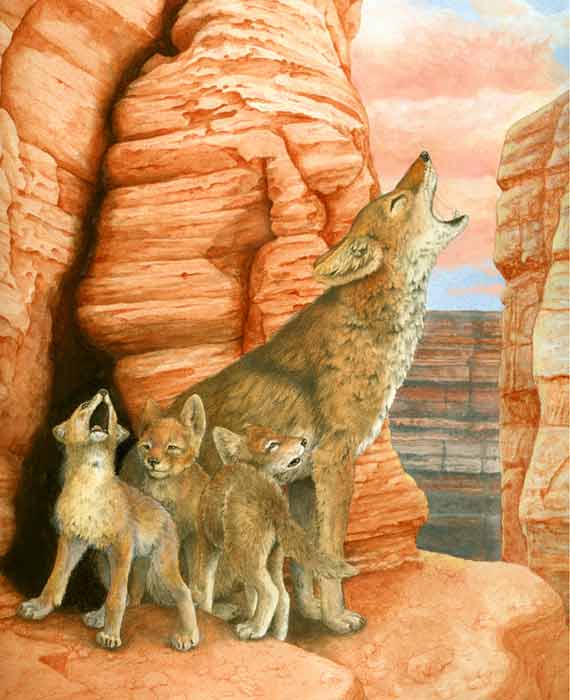Howling Coyote Family 