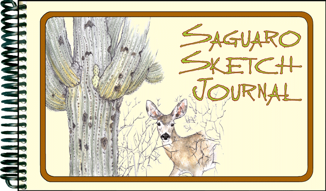 Saguaro Sketch Journal...