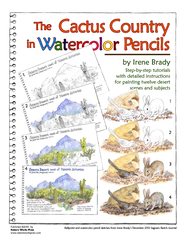 The Cactus Country In Watercolor Pencils...